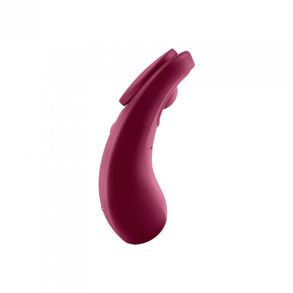 Satisfyer Sexy Secret - Wine Red